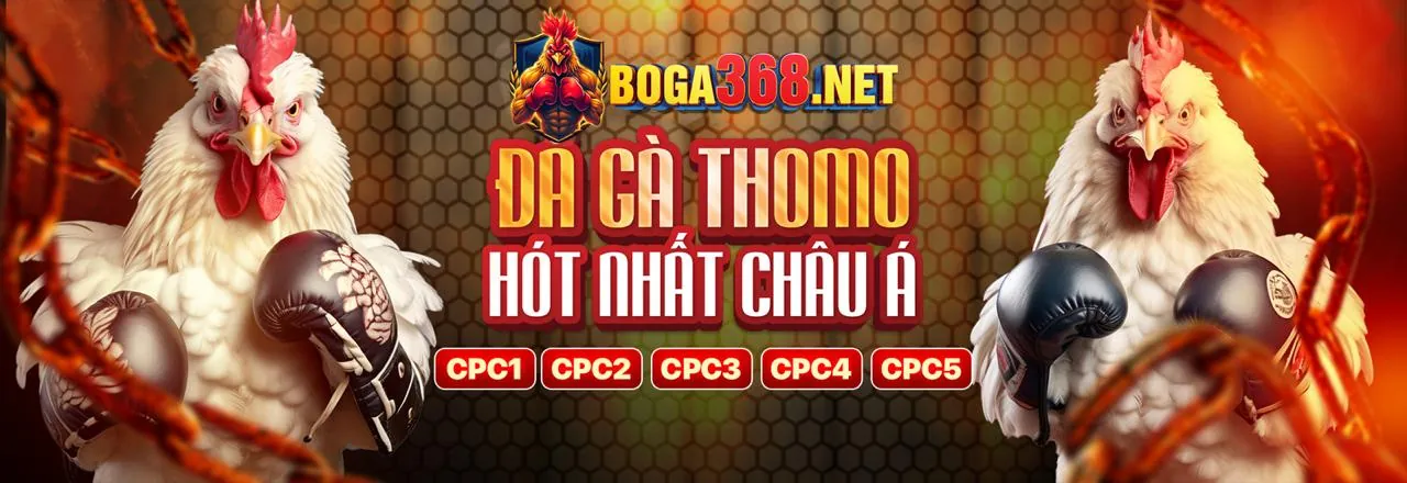 Chơi casino trên điện thoại di động với MCW678 nhà cái