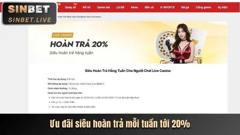 Hoàn trả hàng ngày mcw678